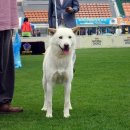 달아실 농원 이미지