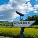 소뚝도랑 둘레길 | 율면 소뚝도랑 둘레길