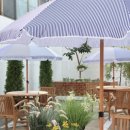 사파동280 이미지