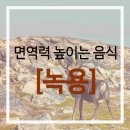 자양으뜸한의원 | 면역력 높이는 음식 올바른 섭취 방법?