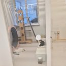커뮤니캣 고양이 호텔&미용실 | 대전 고양이 호텔 ~ 고양이 만을 위한 공간 "페르시안캣" 캣호텔링 ~