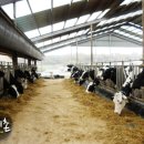 동서목장 이미지