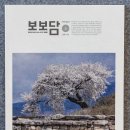 계간지
