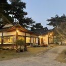 조가네갑오징어원주점 이미지