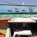 새길시장 티스토리
