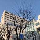 파티마약국 이미지