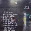 달 - 김다솜 이미지