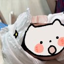 선우전자 | 인천 미추홀구 선우케어 내돈내산 이용후기 (신연임 관리사님)