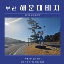 (주)와이피하우스앤비치클럽 | 부산 해운대비치cc 골프앤리조트, 1박2일 골프패키지 (직접 다녀온 봄처럼 따뜻했던 해운대비치cc 후기)