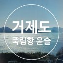 죽림항 이미지