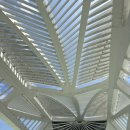 리우인터랙티브 | [브라질 리우데자네이루 여행] 내일의 박물관 Museu do Amanhã 방문 후기