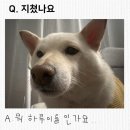 조은피드 | 받아들이는 거예요 그냥 들이받을 수는 없으니까