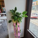 안성동인요양병원 이미지