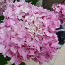 THE채움공인중개사사무소 이미지