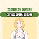 자이안치과의원 | 경기도 과천시 별양동 교정치과 총정리