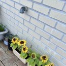 라엘어린이집 | [2027년대비] 유지연 전공음악 3, 4월 심화이론반 수강 후기, 마인드 리셋