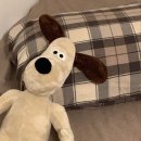 누리꿈이비인후과의원 이미지