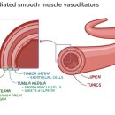 MUSCLE FLOW 이미지