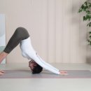 중앙공원로31번길 이미지