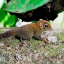 (주)케이지환경 이미지