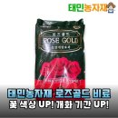 흙사랑농자재 | 장미꽃 활짝 피우는 비결, 태민농자재 로즈골드 비료 사용 후기