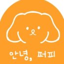 퍼피애견 이미지