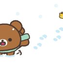 곰돌 이미지