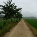 삼산 소공원 이미지