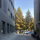 카페템스 이미지