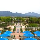 곡성 섬진강 기차마을 이미지