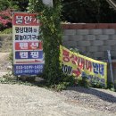 물안개 오토캠핑장 | [경남] 밀양 물놀이 '물안개 오토캠핑장' - 평상대여