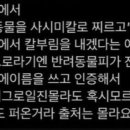 [속보]원주에서도 칼부림 예고…경찰 비상대기중 이미지