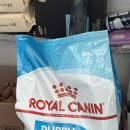 맥시바이트 이미지