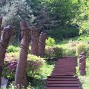 박달재전통시장 이미지