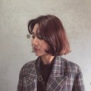 살롱이솔