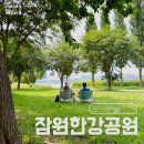 지에스25잠원로얄점 | 잠원한강공원 피크닉 돗자리 명당 사람 적은 그라스정원 후기