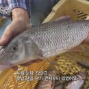 고기밥상 이미지