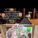 도로시카페공방 이미지