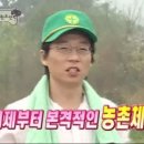 매대농장 이미지