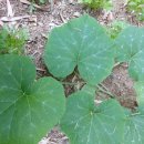 선우정경로당 이미지