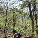 육각정 화장실 이미지