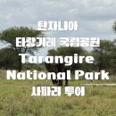 타랑 | [올리여행] 🌍 탄자니아 타랑기레 국립공원 Tarangire National Park 후기｜바오밥나무 사파리