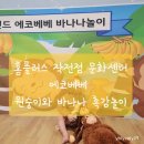 홈플러스 작전점 앞 | 인천 홈플러스 작전점 문화센터 13개월 아기 에코베베 1일 특강 바나나 촉감놀이 후기