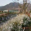 동성아파트(남) 이미지