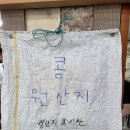 순봉홍두깨손칼국수 | 대전 도마시장 맛집 순봉홍두깨손칼국수 오천 원의 행복