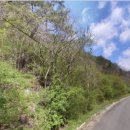 청기면사무소 이미지