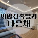 다은채 이미지