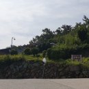 세구지5 이미지