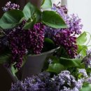 하이라이트아트디자인 이미지