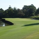 티엔지코리아 이미지